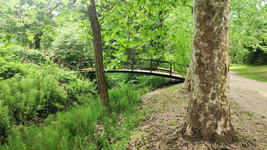 Parque de Cartes