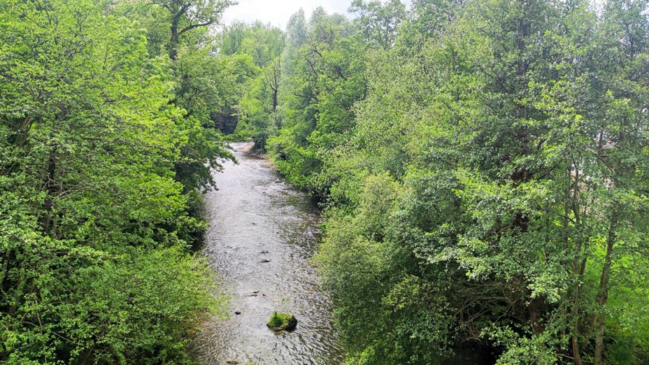 Arenas de Iguña