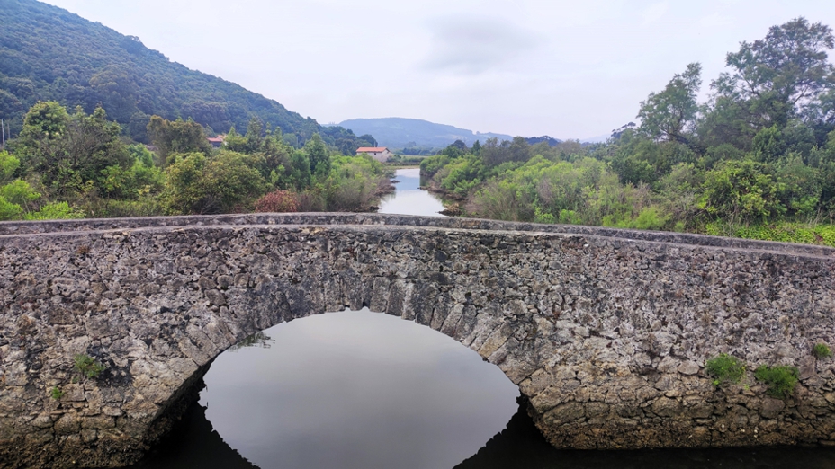 Noja