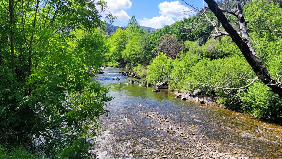 Puente Viesgo  ( Via Verde del Pas )