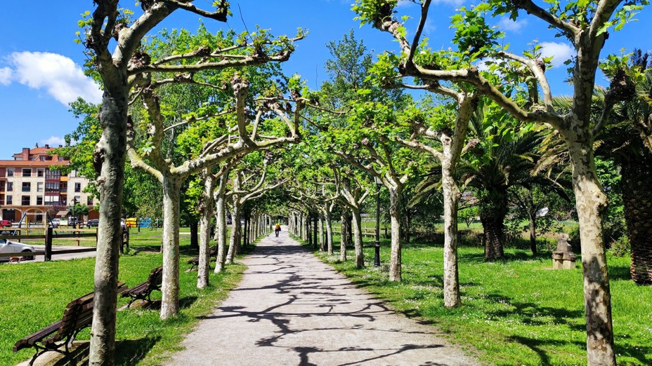 Sarón  ( Via Verde del Pas )