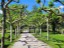Sarón  ( Via Verde del Pas )